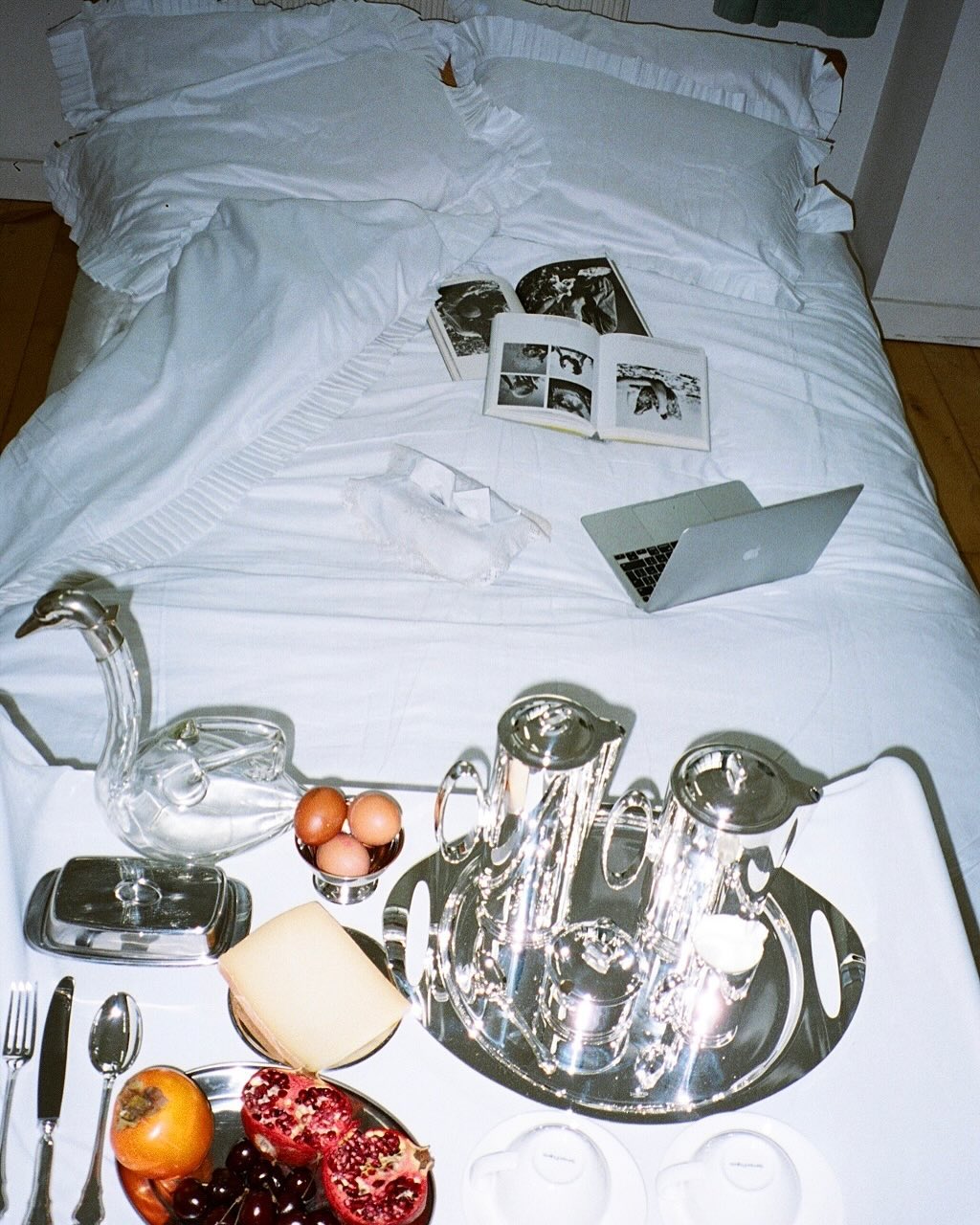 Vienna Pillowcase pair