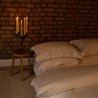 Field of dreams bundle