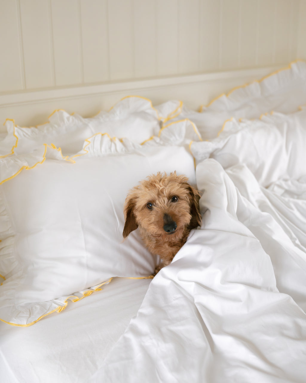 Sukun Provence move-in bundle set, white cotton sateen bedding with a butter yellow frill, styled lifestyle shot